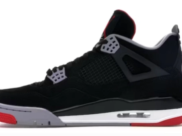 Retro 408452-060 Jordan Air Bred 2019 4 0713
